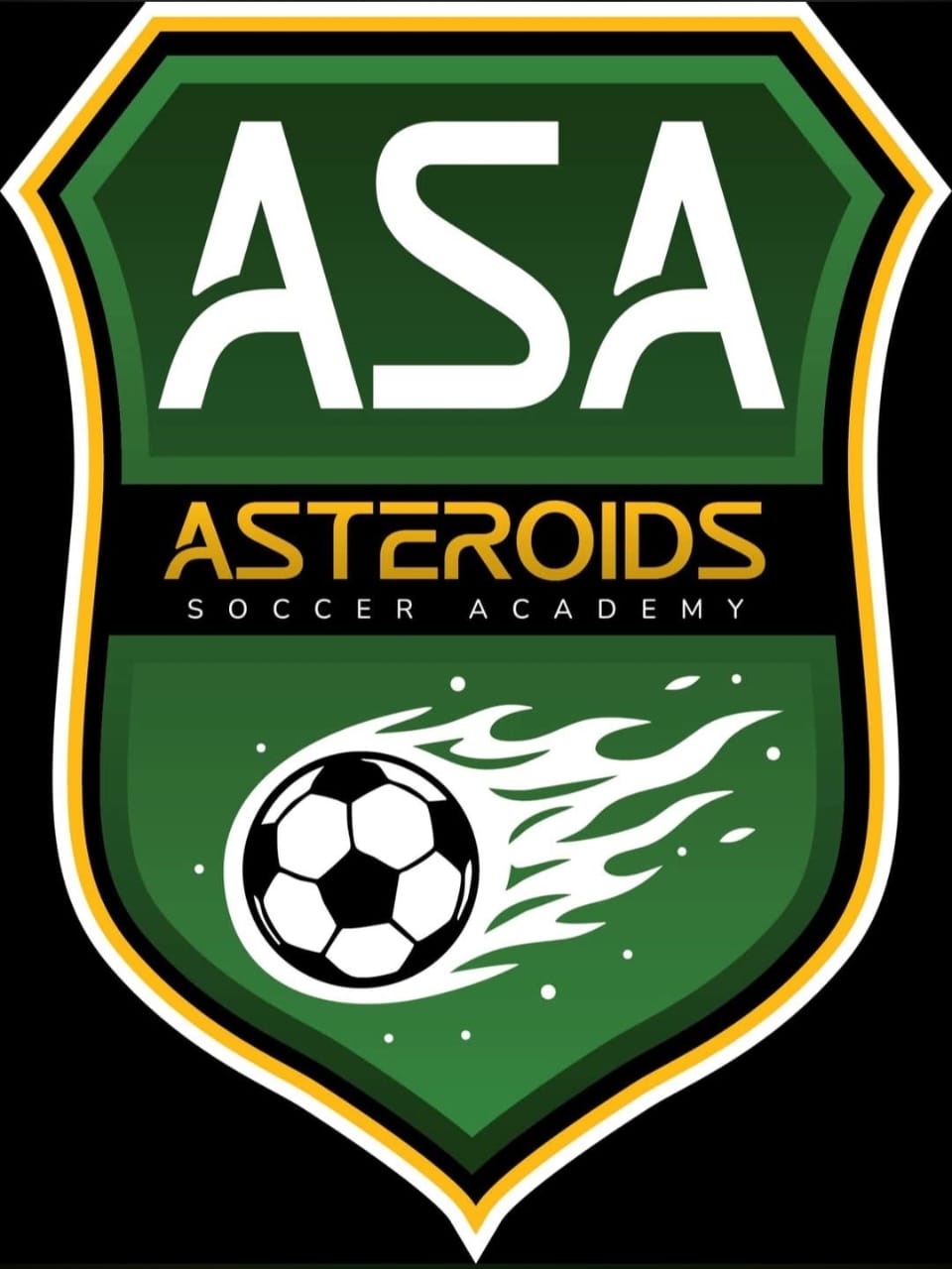 Asteroids Academy logo