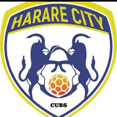 Harare City Cubs logo